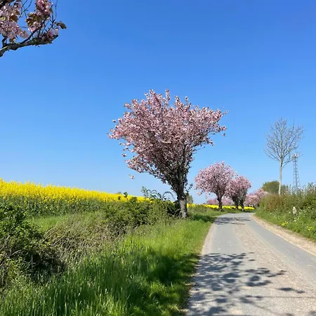 Апартаменты Fehrsland 2 *